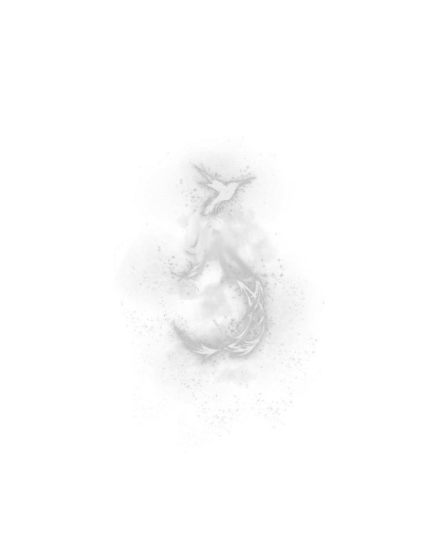 Шанс. Верный выбор. Книга 2