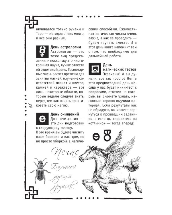 Викка: книга теней