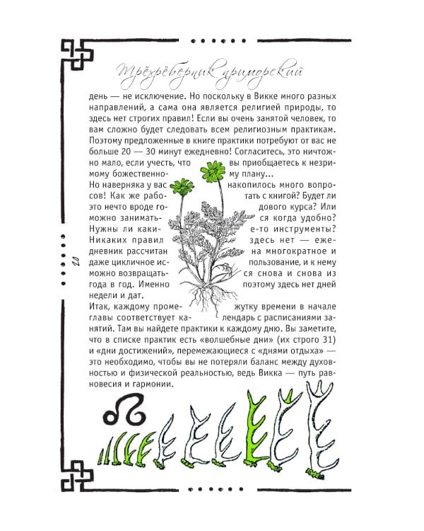 Викка: книга теней