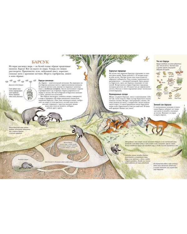 Следы. Жизнь зверей и птиц в картинках и небольших рассказах