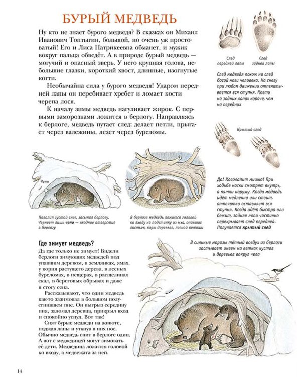 Следы. Жизнь зверей и птиц в картинках и небольших рассказах