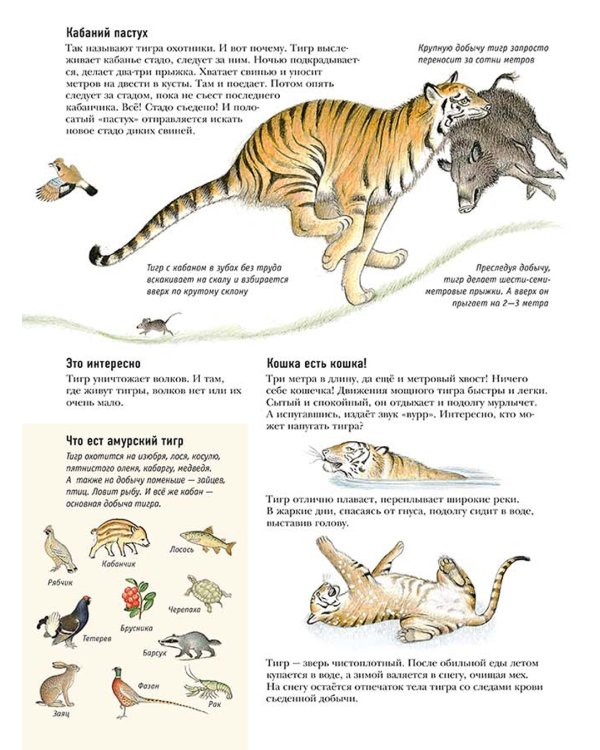 Следы. Жизнь зверей и птиц в картинках и небольших рассказах