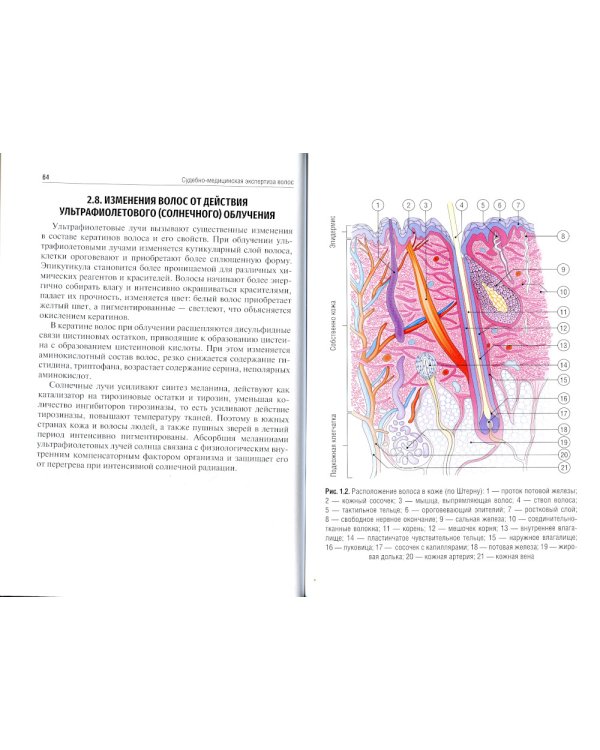 Судебно-медицинская экспертиза волос: Учебное пособие