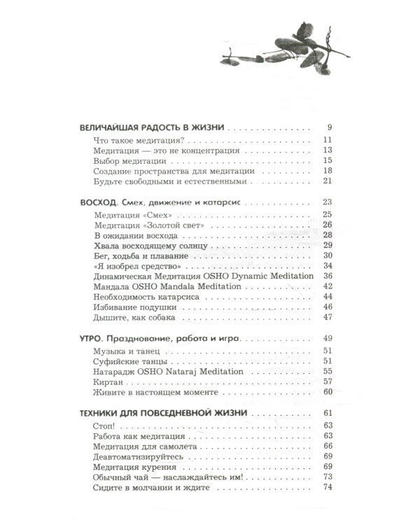 Оранжевые медитации. Упражнения на концентрацию и дыхательные техники