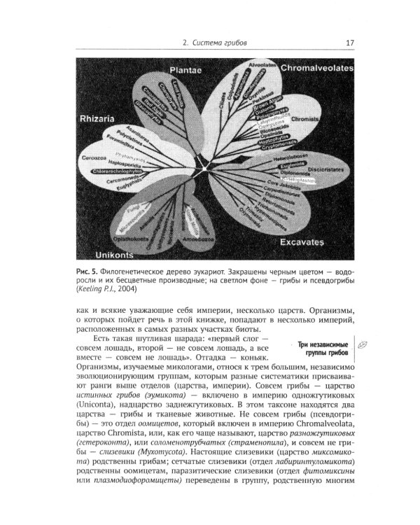 Занимательная микология. 4-е изд