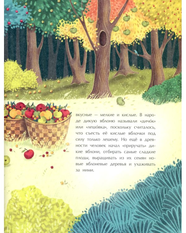 Эх, яблочко! Неизвестные истории известного фрукта. Вып. 173. 2-е изд