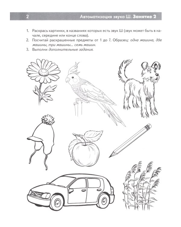Шипящие звуки Ш, Ж, Ч, Щ. Называем и различаем. Альбом упражнений для детей 5-7 лет с ОНР