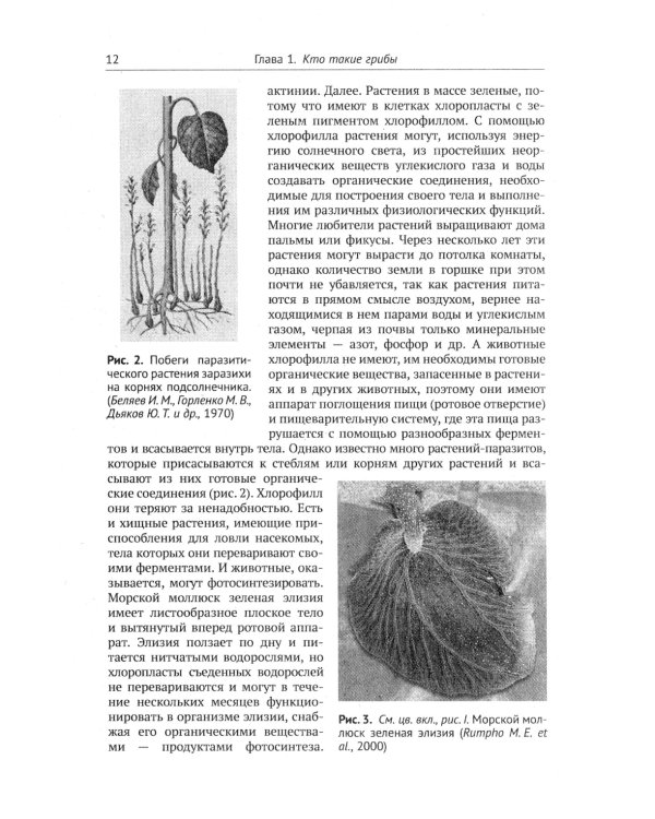 Занимательная микология. 4-е изд