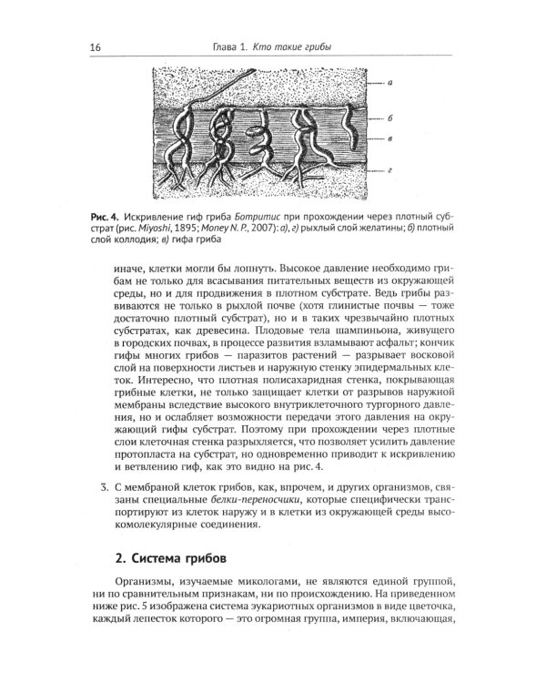 Занимательная микология. 4-е изд