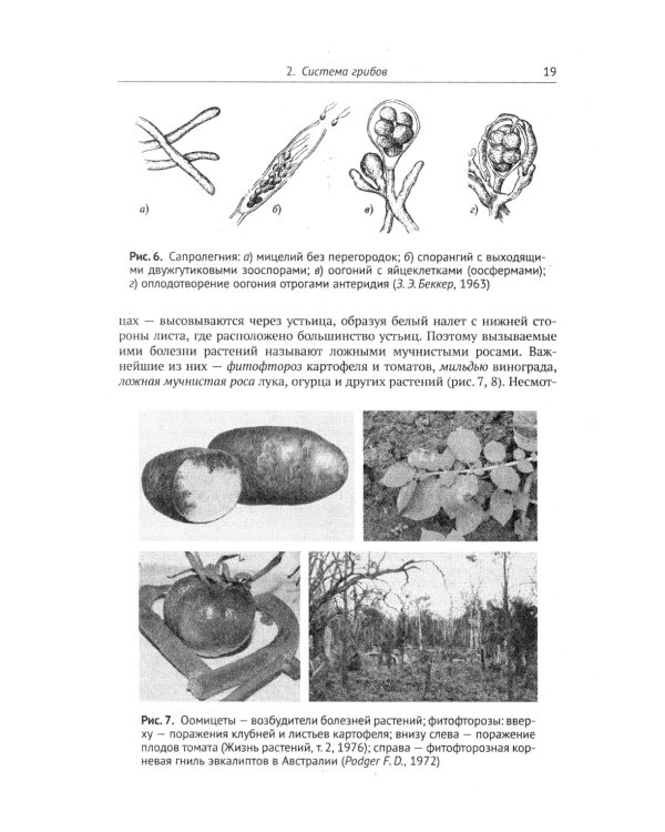 Занимательная микология. 4-е изд
