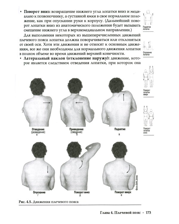 Прикладная кинезиология