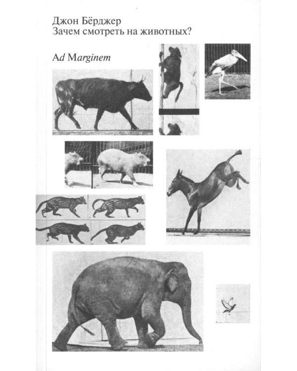 Зачем смотреть на животных? 2-е изд