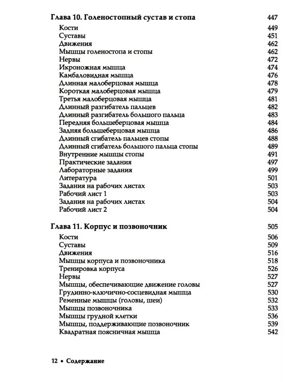 Прикладная кинезиология