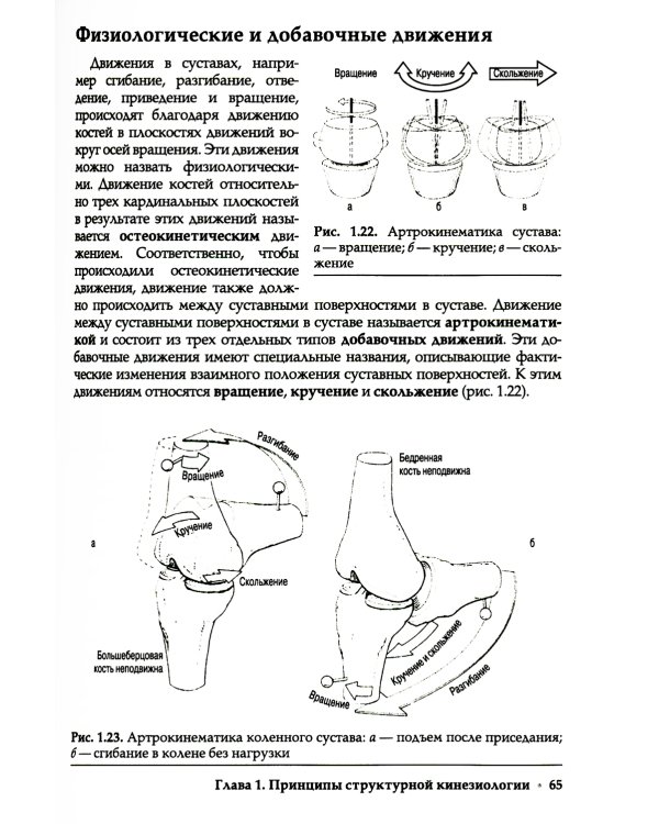 Прикладная кинезиология