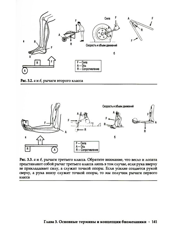 Прикладная кинезиология