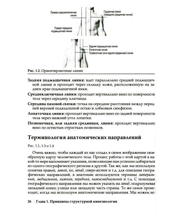 Прикладная кинезиология