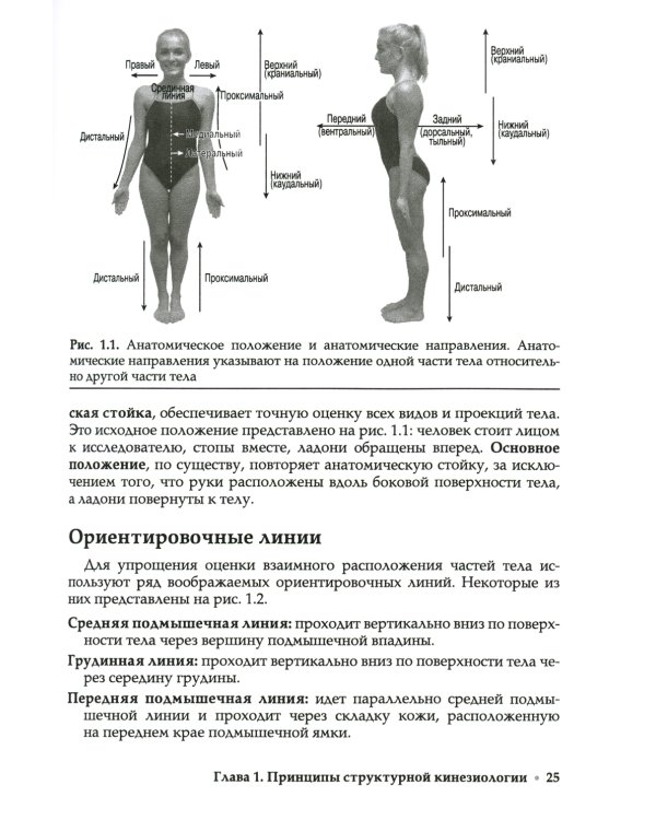 Прикладная кинезиология