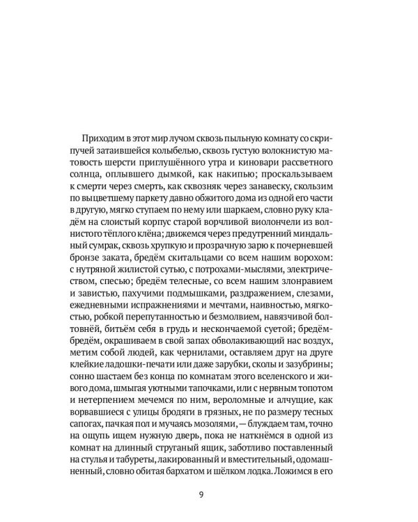 Свет во Тьме: роман