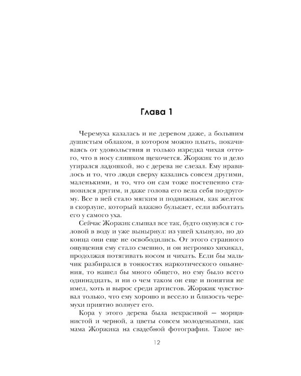 Гнездо аиста