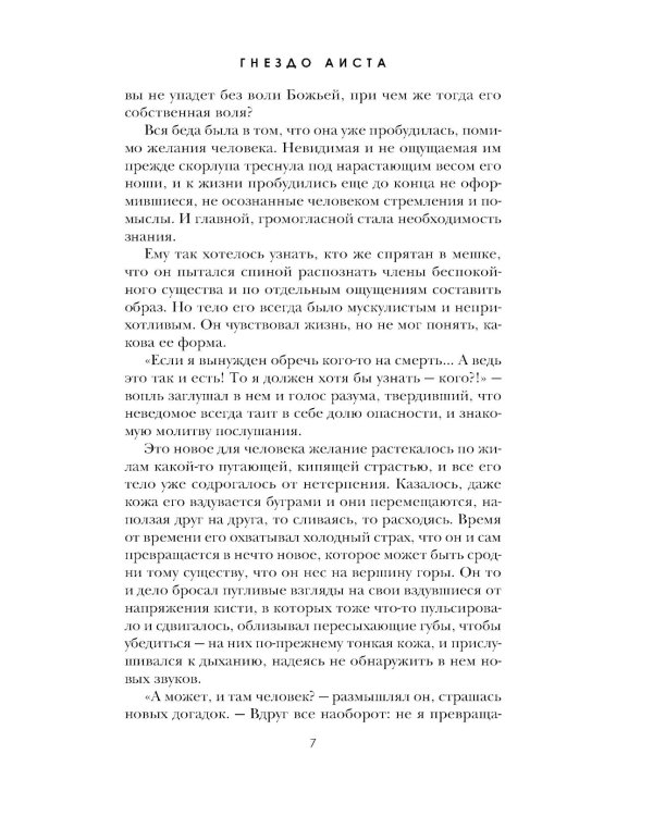 Гнездо аиста