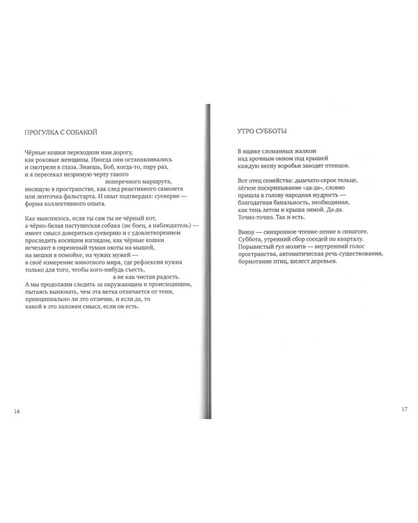 Чистая радость