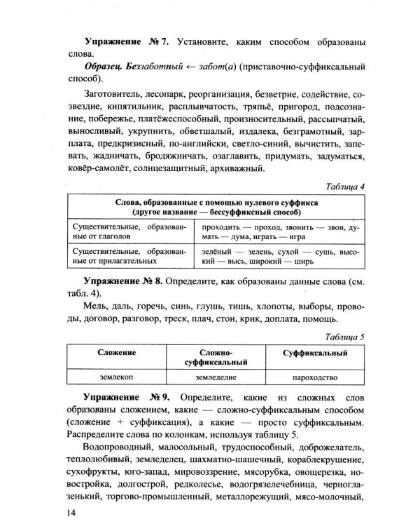 ЕГЭ 2026. 100 баллов. Русский язык: Самостоятельная подготовка к ЕГЭ