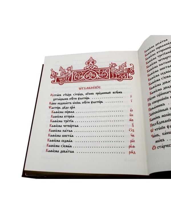 Псалтирь на церковно-славянском языке (Кожа, большой формат, золот.обрез)