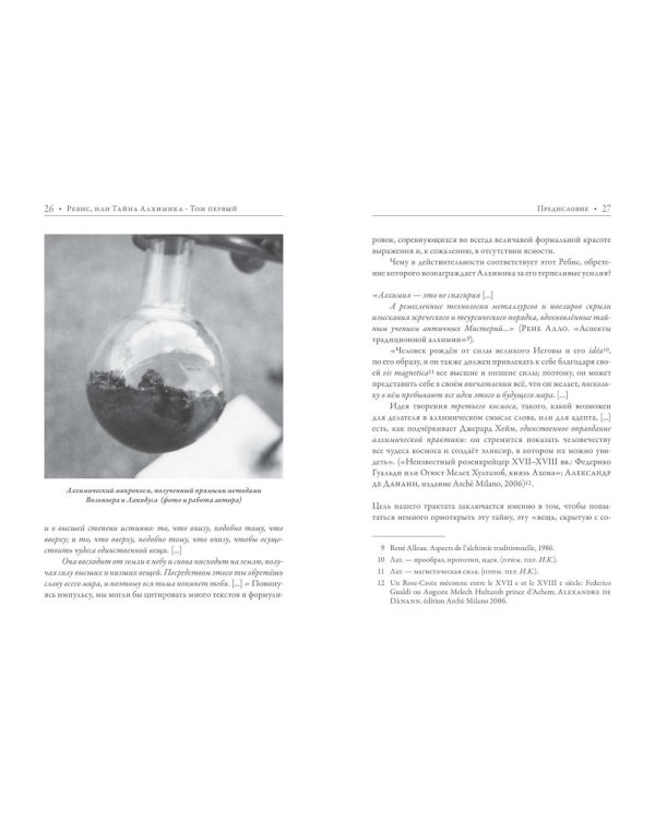 Ребис, или Тайна алхимика. Трактат по оперативной алхимии. Т. 1: Молельня