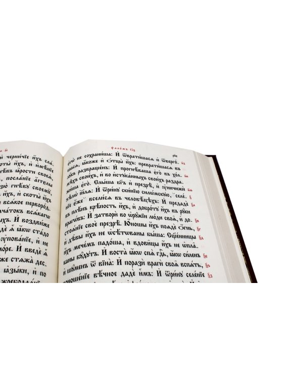 Псалтирь на церковно-славянском языке (Кожа, большой формат, золот.обрез)