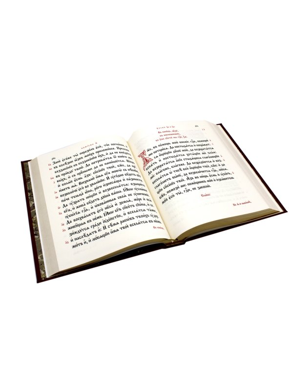 Псалтирь на церковно-славянском языке (Кожа, большой формат, золот.обрез)