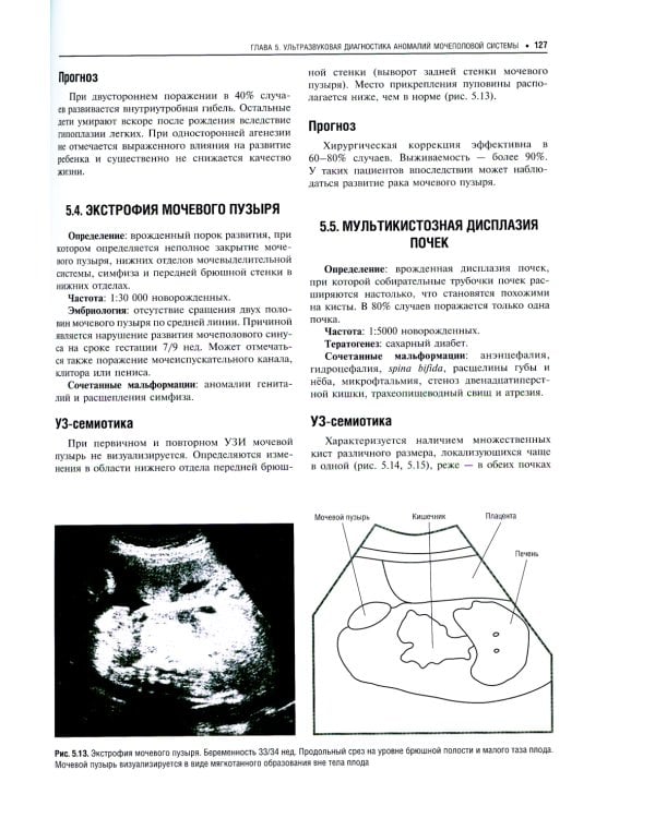 Практическая ультразвуковая диагностика: Руководство для врачей. В 5 т. Т. 4. Ультразвуковая диагностика в акушерстве