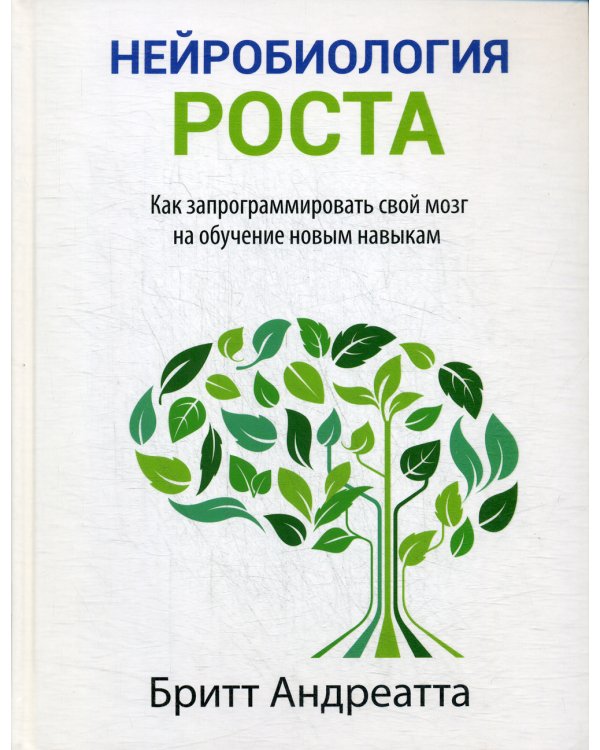 Нейробиология роста: как запрограммировать свой мозг на обучение новым навыкам