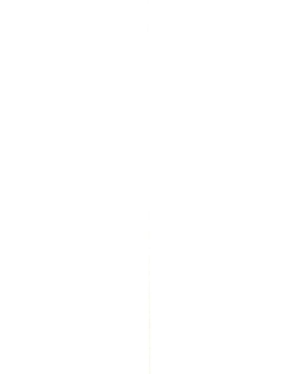 Тамплиеры. История великого рыцарского ордена и других тайных обществ Средневековья