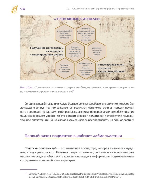 Топографическая лабиопластика. От теории к клинической практике