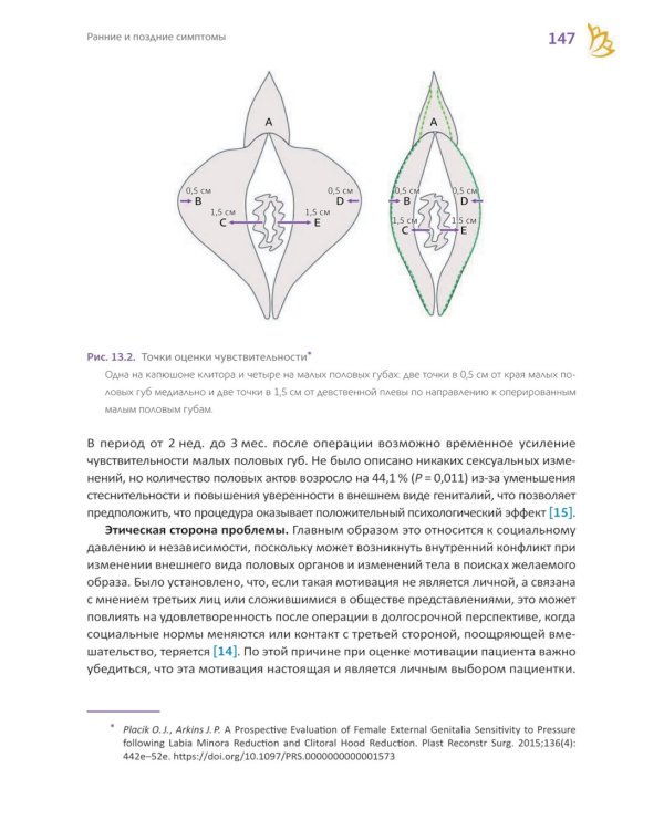 Топографическая лабиопластика. От теории к клинической практике