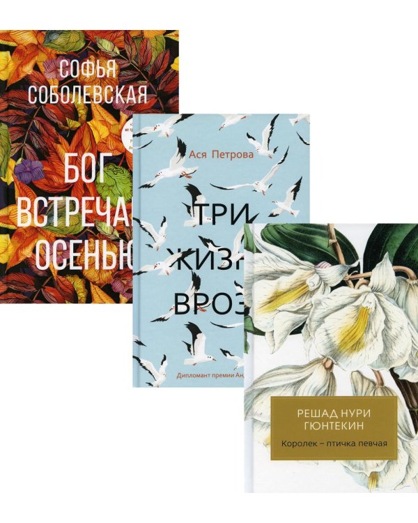 Женская проза (комплект из 3-х книг)