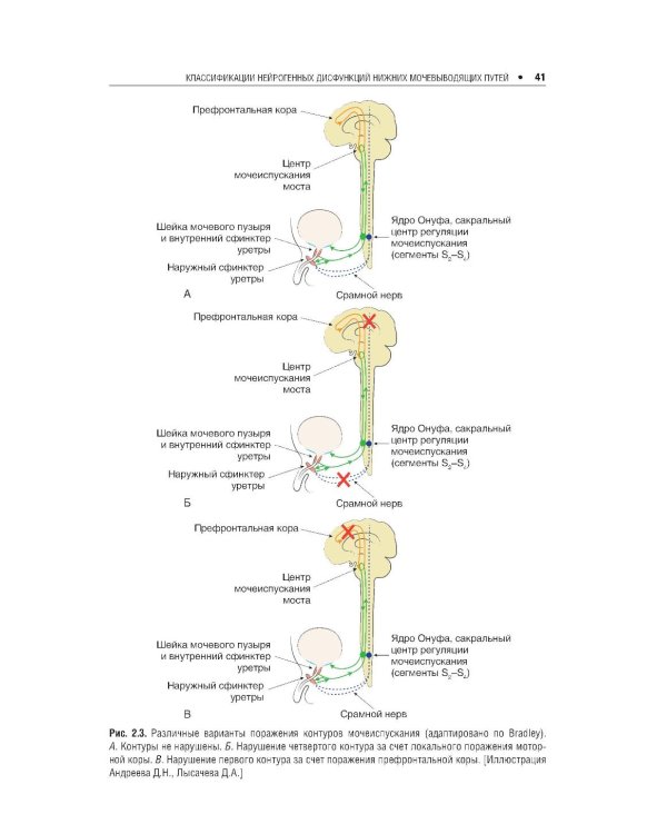 Нейроурология: Учебное пособие. 2-е изд., перераб. и доп