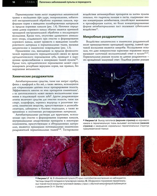 Эндодонтия. Принципы и практика. 6-е изд