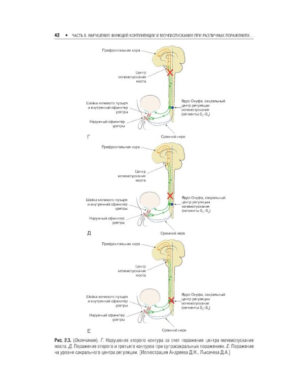 Нейроурология: Учебное пособие. 2-е изд., перераб. и доп