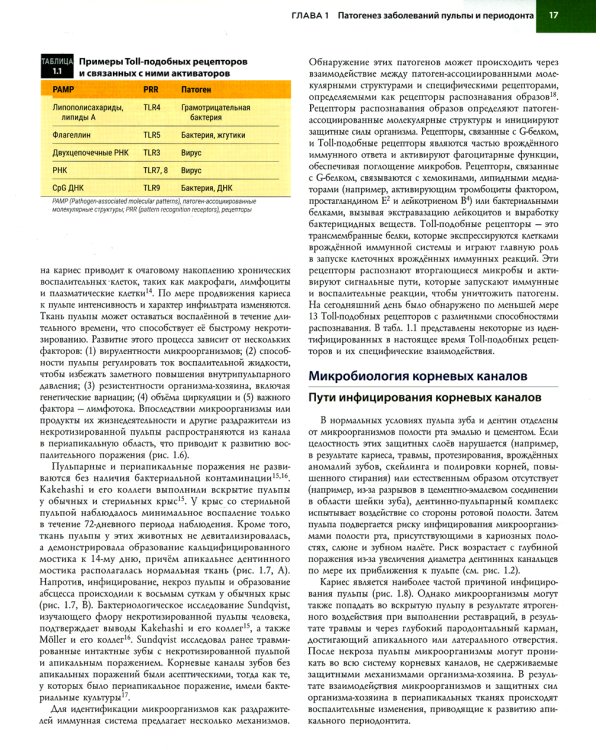 Эндодонтия. Принципы и практика. 6-е изд