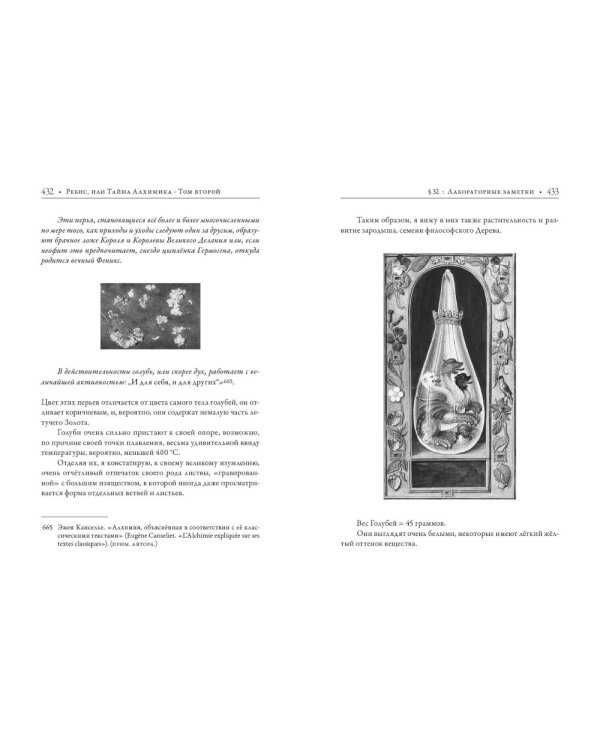 Ребис, или Тайна алхимика. Трактат об оперативной алхимии. Т. 2: Лаборатория
