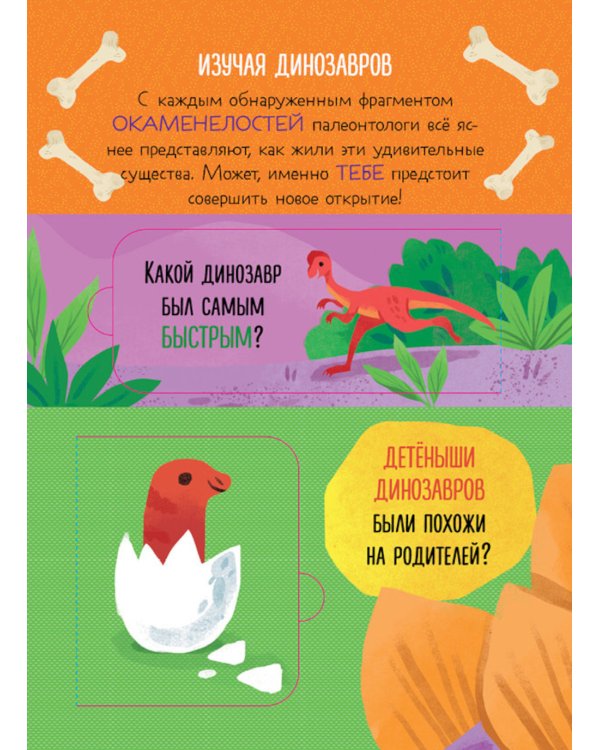 Что ели динозавры на ужин. И другие интересные вопросы