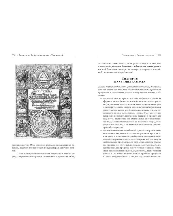Ребис, или Тайна алхимика. Трактат об оперативной алхимии. Т. 2: Лаборатория