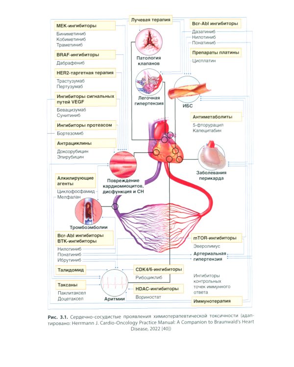 Кардиоонкология: руководство для врачей