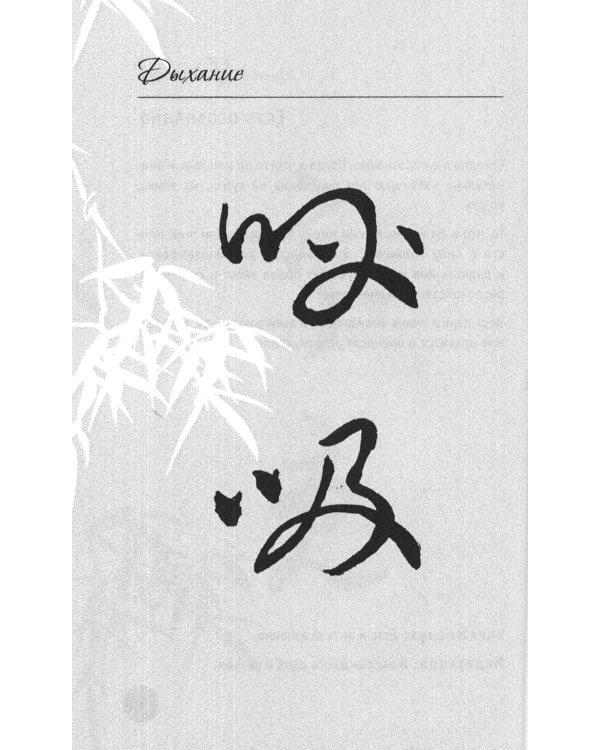 150 дней в настоящем. Медитации на каждый день