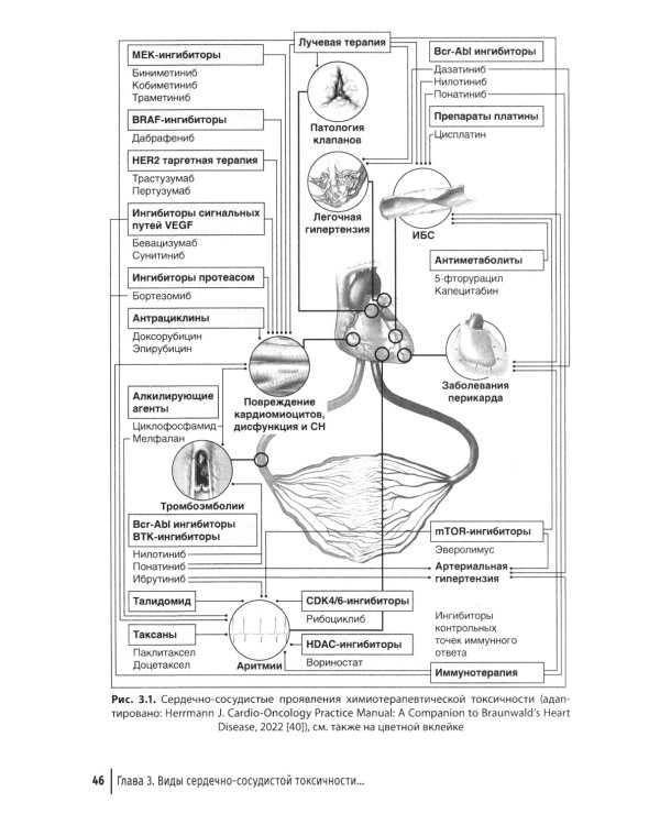 Кардиоонкология: руководство для врачей