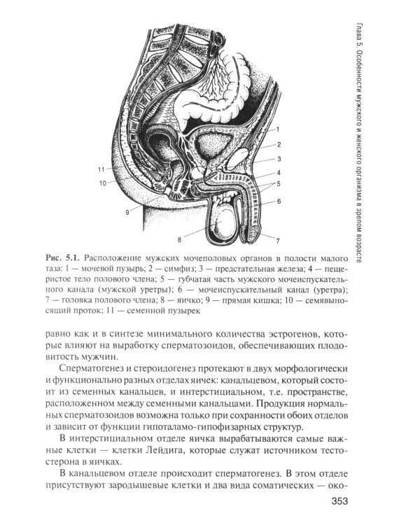 Здоровый человек и его окружение: Уебник. 6-е изд., перераб. и доп