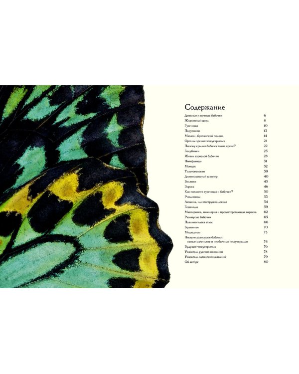 Загадочный мир бабочек. Энциклопедия