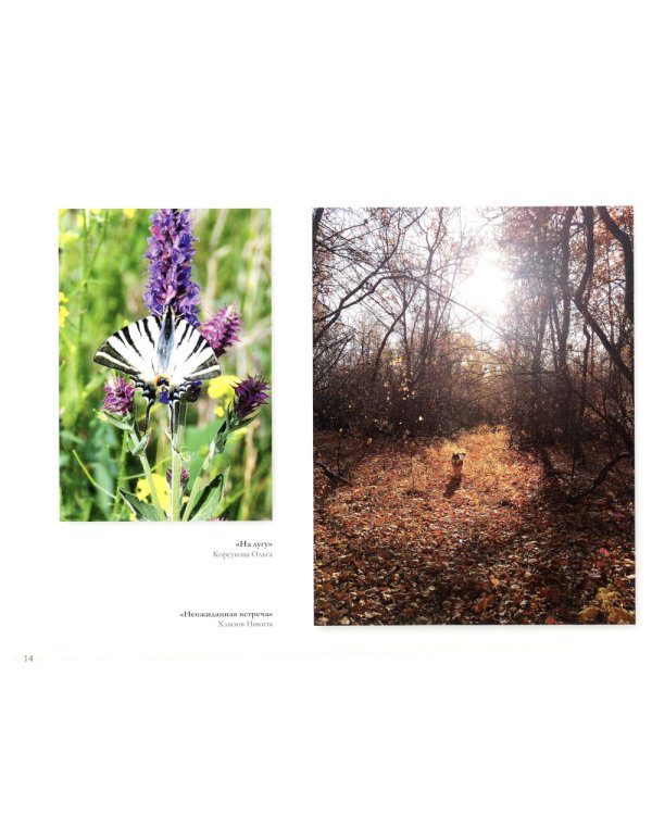 Мир глазами детей