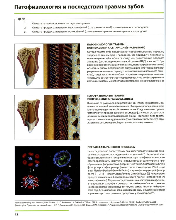 Травма зубов. Практическое руководство. 3-е изд